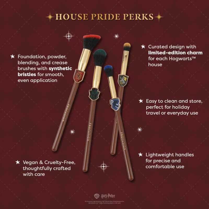 SET DE BROCHAS 4 PCS HOUSE CHAMPIONS HARRY POTTER X PROFUSION