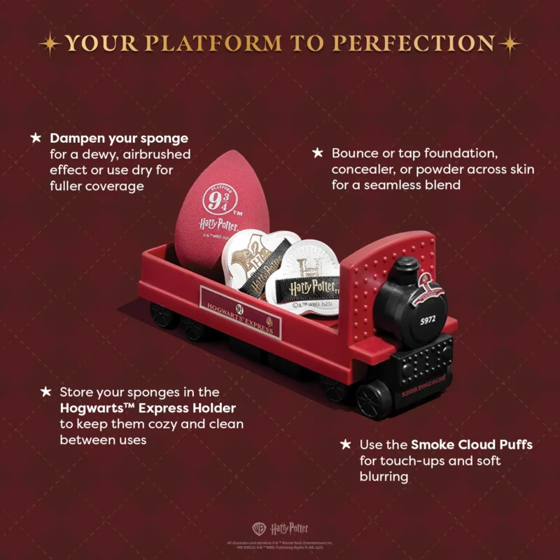 HOGWARTS EXPRESS HOLDER SET DE ESPONJAS HARRY POTTER X PROFUSION