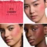 DIOBRG_CHERRY_02